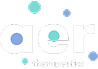 AER Footer logo