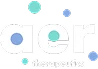 AER Footer logo